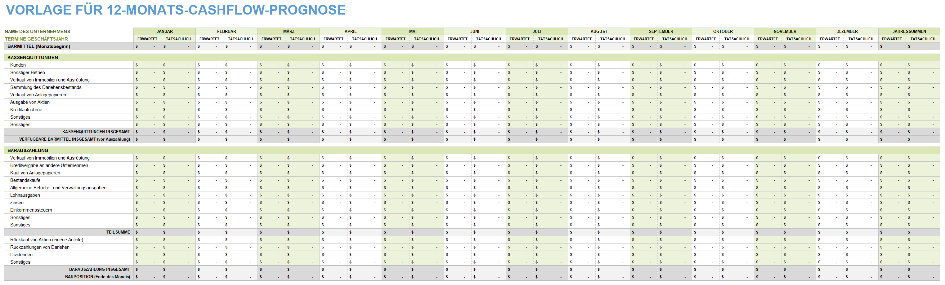  Vorlage für eine 12-Monats-Cashflow-Prognose