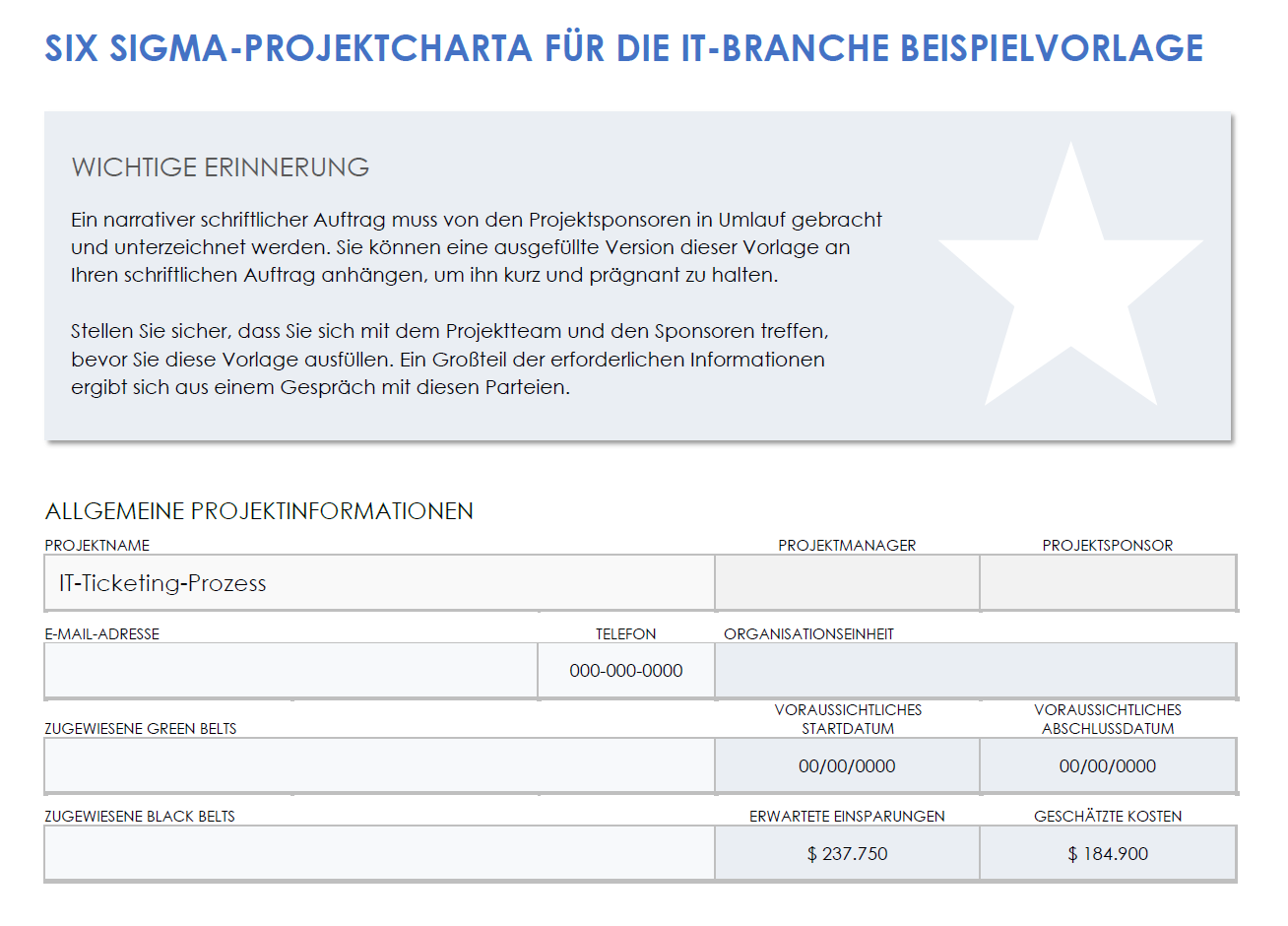 Beispielvorlage für eine IT-Six-Sigma-Projektcharta