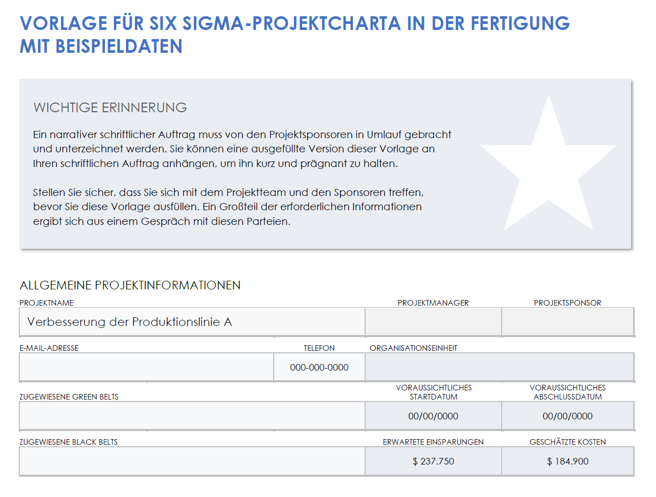  Beispielvorlage für eine Six-Sigma-Projektcharta für die Fertigung