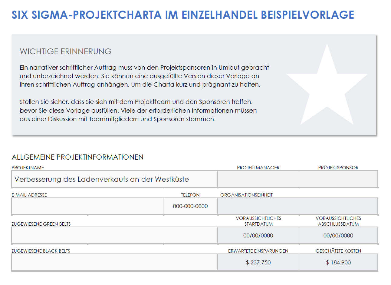  Beispielvorlage für eine Six-Sigma-Projektcharta im Einzelhandel