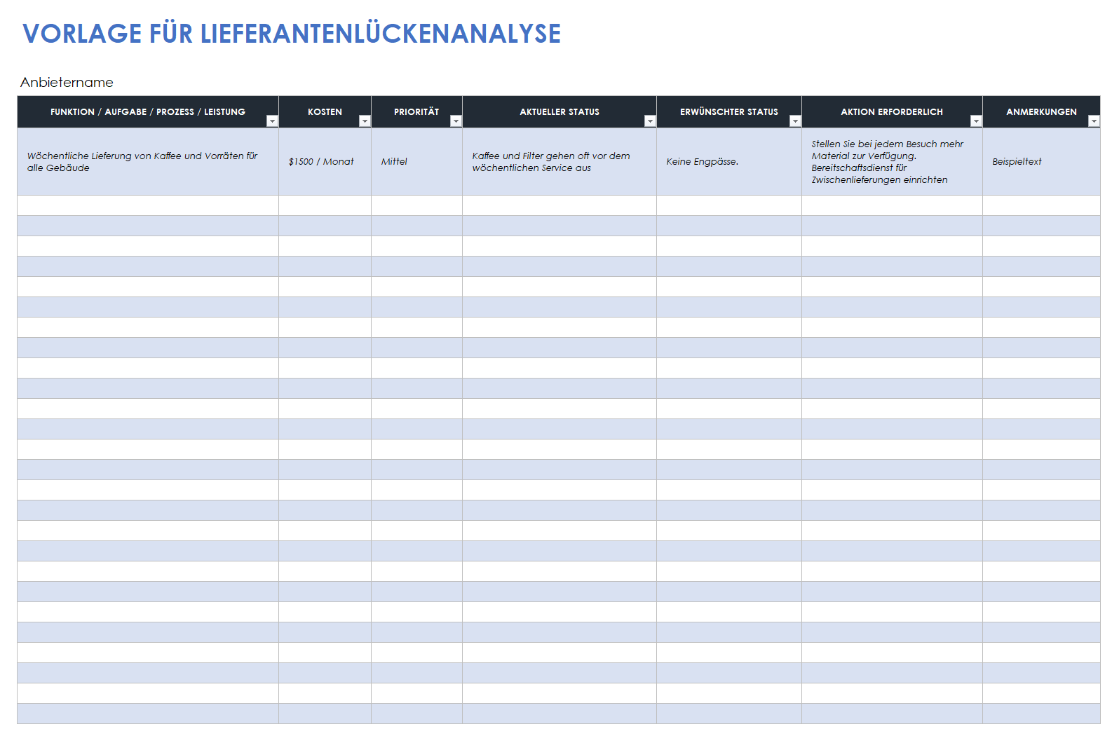 Vorlage zur Anbieterlückenanalyse